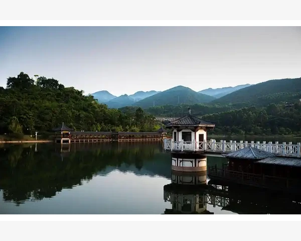 柿子的神奇功效：能否消化痰？探索中医的奥秘
