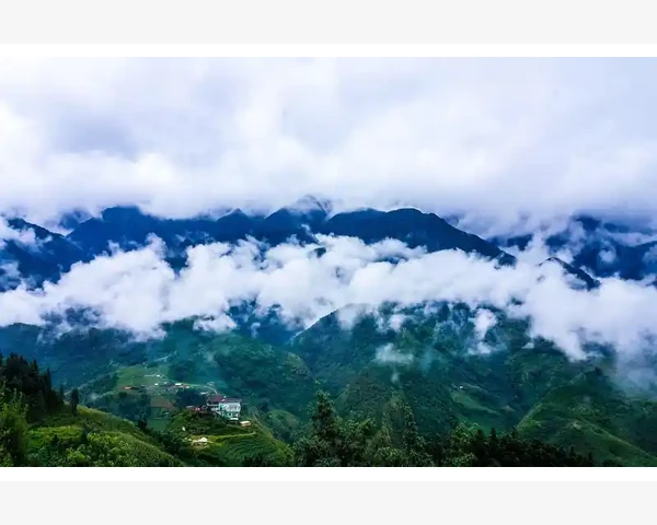 润肺化痰茶：呵护学生的健康成长