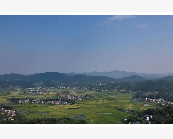 B2B垂直平台选型与运营核心要点